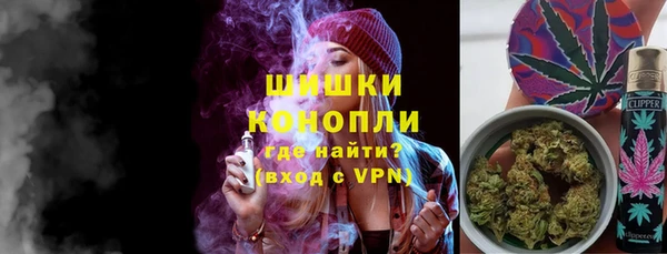 сатива Сясьстрой