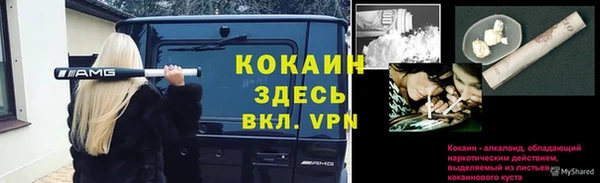 твердый Зеленокумск
