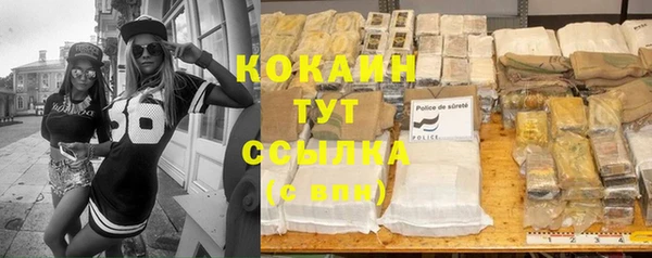 твердый Зеленокумск