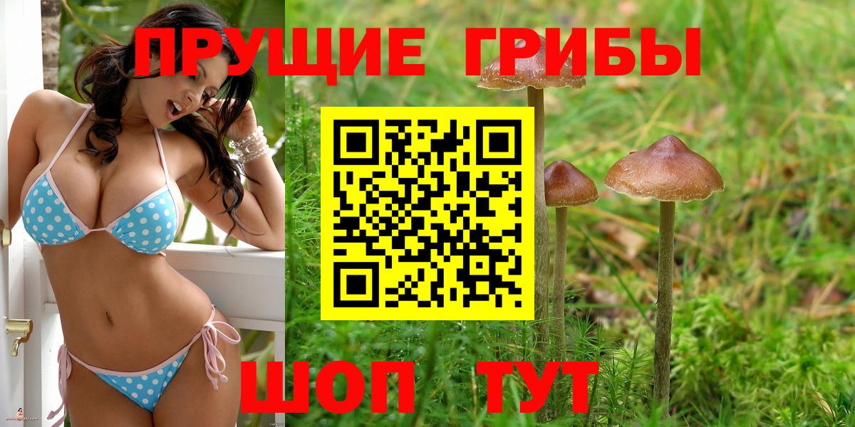 Галлюциногенные грибы ЛСД Сокол