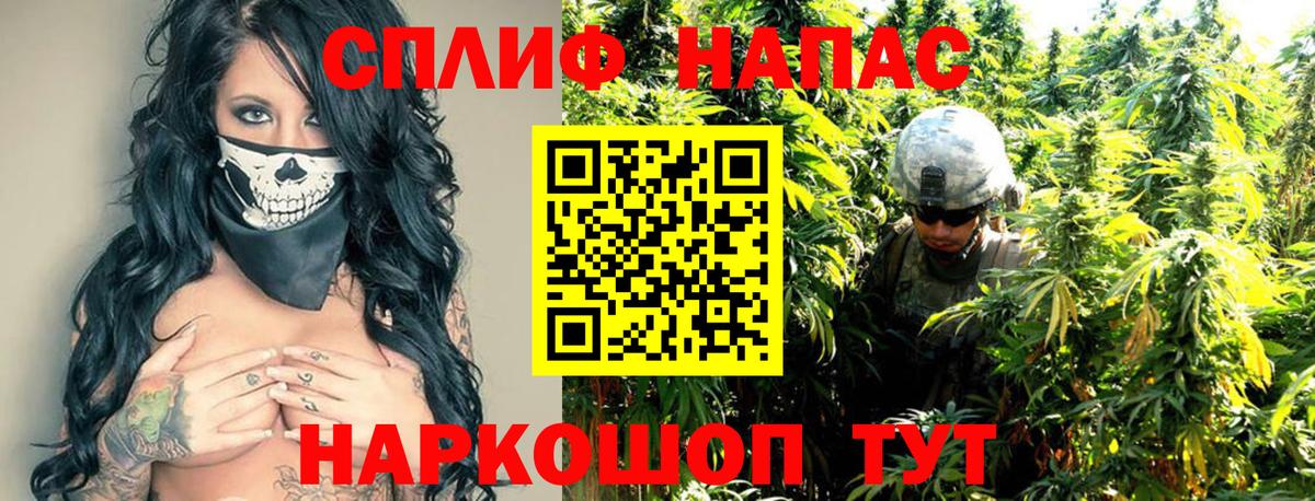 Сокол  Канабис сатива  Конопля White Widow  Вход с VPN 